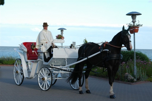 Kito transporto nuoma Karieta Jūsų šventei