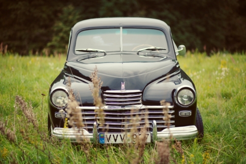 Automobilių nuoma Privatus 1952m. senovinis automobilis jūsų šventei