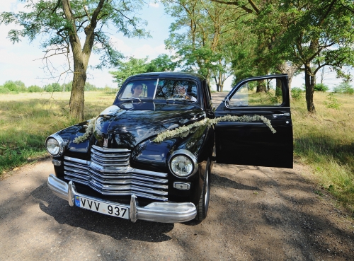 Automobilių nuoma Privatus 1952m. senovinis automobilis jūsų šventei