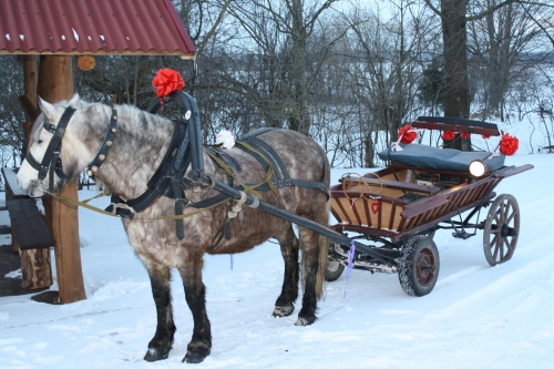 Mergvakarių – bernvakarių šventės vieta  Dvaryksciu sodyba Jus kviecia..