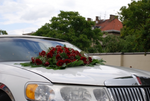 Dekoravimas, dekoracijos vestuvėms Profesionalių floristų paslaugos