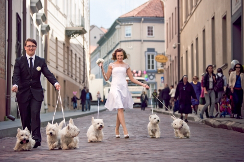 Vestuvių fotografas FOTOFAZĖ.LT : Tiesiog norite savo gražių nuotraukų?!