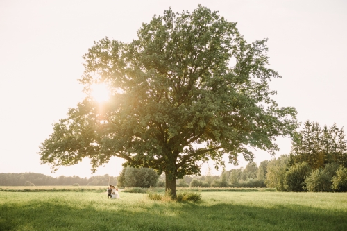 Vestuvių fotografas [sp] fotografija