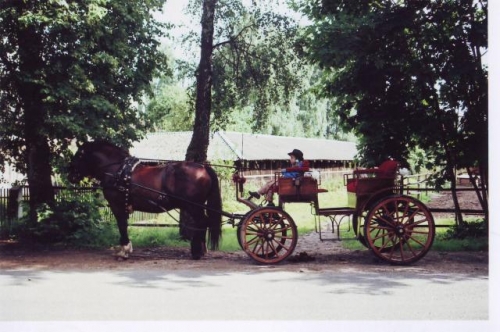 Kito transporto nuoma Karietų nuoma