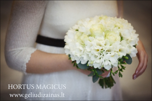 HORTUS MAGICUS gėlių dizainas