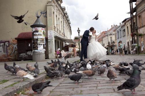 Vestuvių fotografas Romantiškas vestuvių fotografavimas