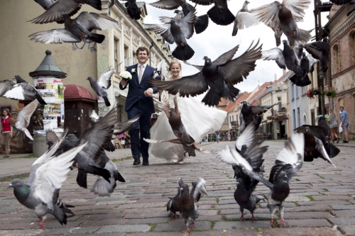 Vestuvių fotografas Romantiškas vestuvių fotografavimas