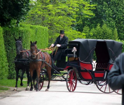 Kito transporto nuoma karietos su žirgais nuoma