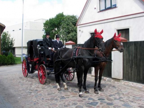 Kito transporto nuoma karietos su žirgais nuoma