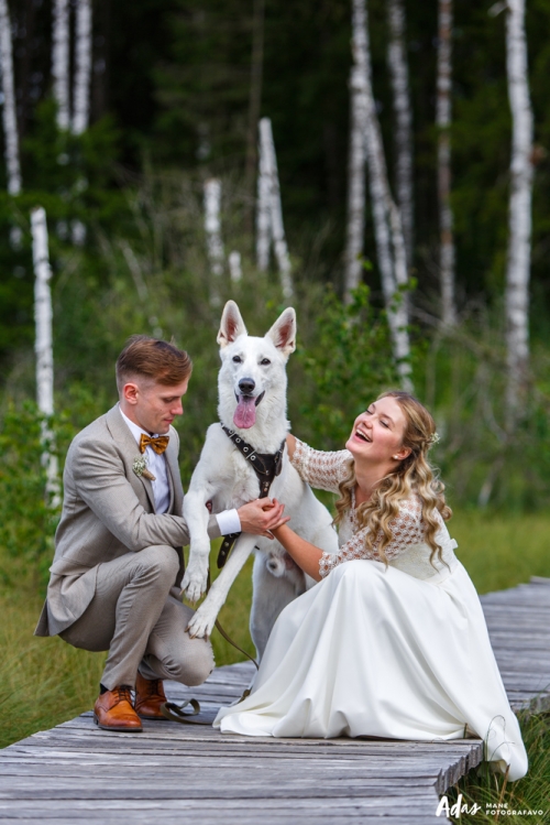 Įdomus ir kūrybiškas vestuvių fotografas