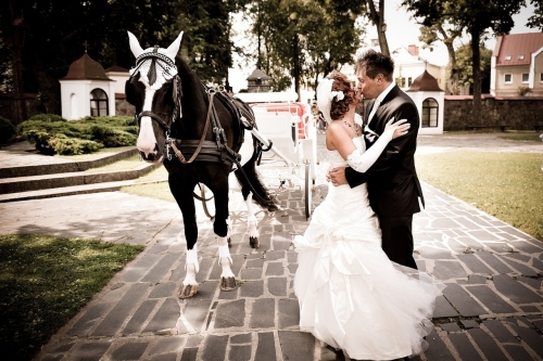 Elegantiška fotografija, nemokama priešvestuvinė sesija.