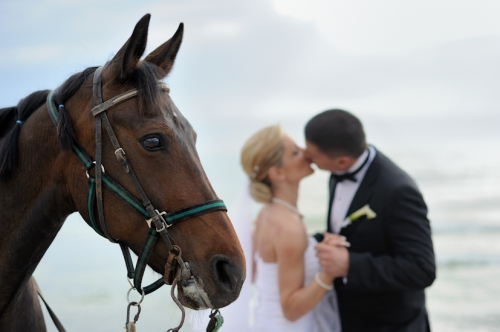 Vestuvių fotografas www.LinosFoto.lt  ...prisiminimai ilgam...