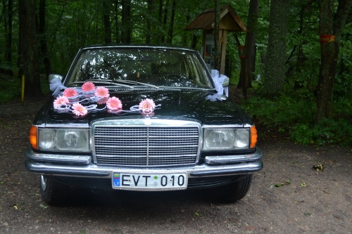 Automobilių nuoma Klasikinis Mercedes Benz 280s