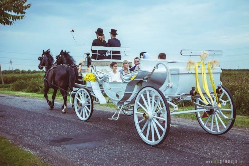 Kito transporto nuoma Prabangiu karietu su zirgais nuoma