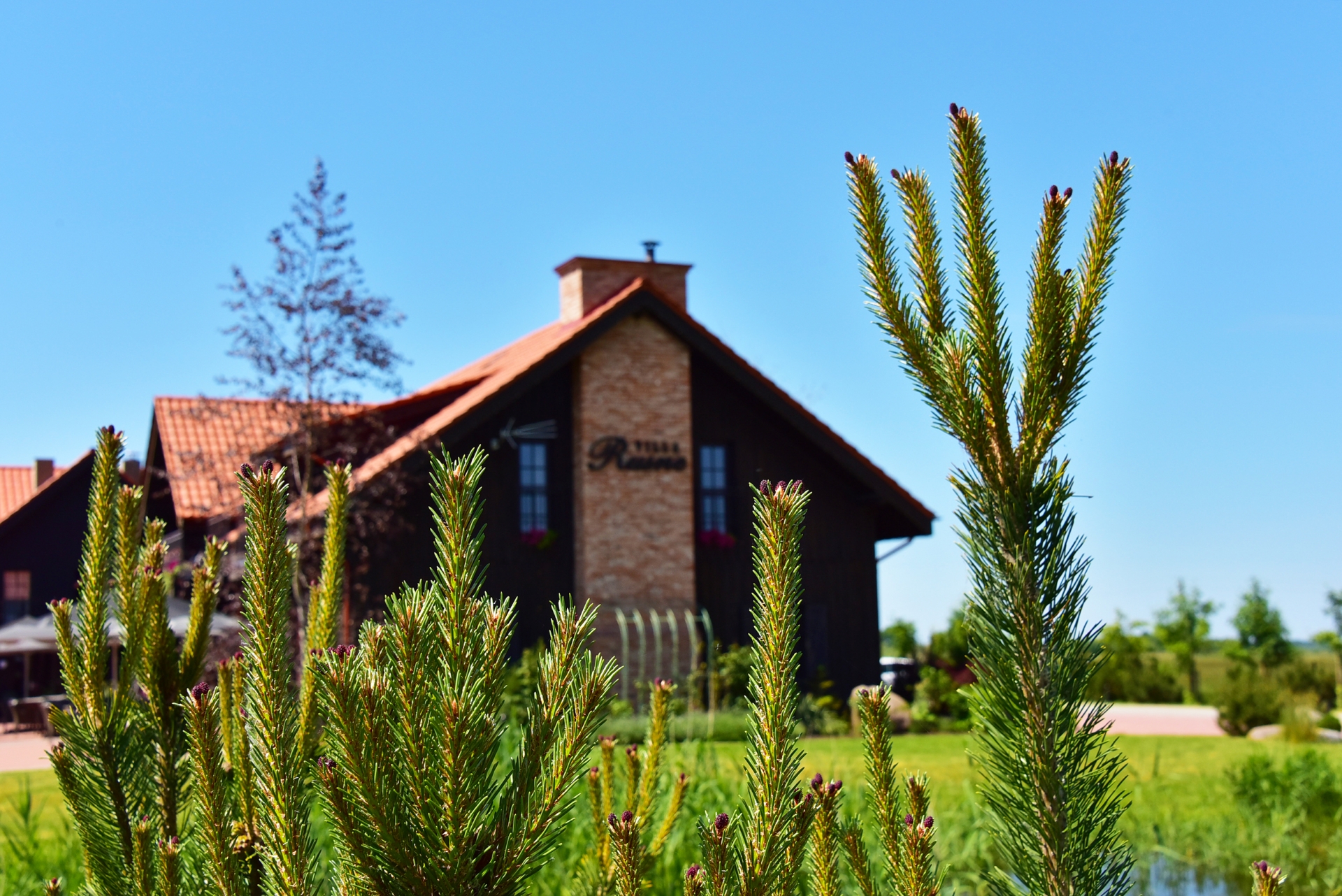 Sodybos, dvarai, vilos RUSNE VILLA puiki vieta vestuvėms Pamaryje