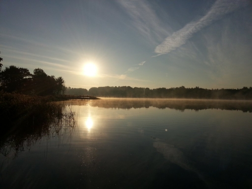 BEBRUSŲ DVARAS