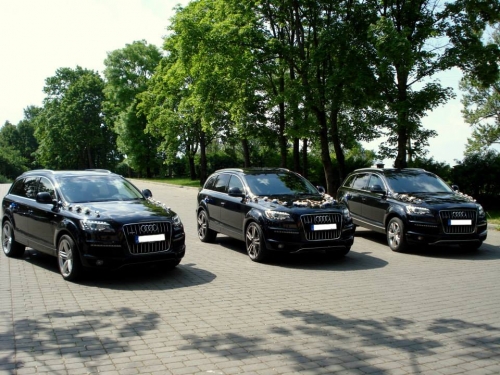 Patrauklios kainos 860484184
 AUDI A6, A8 (2020m) 