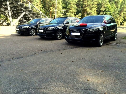 Patrauklios kainos 860484184
 AUDI A6, A8 (2020m) 