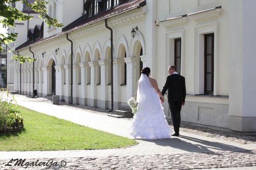 Profesionali fotografija