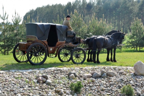 Kito transporto nuoma Karietos ir žirgų nuoma