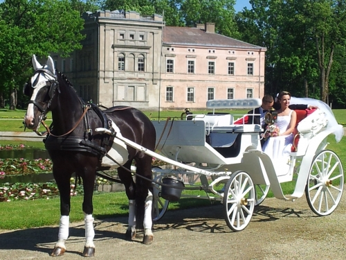 Kito transporto nuoma  Balta karieta. Ilgai ir laimingai