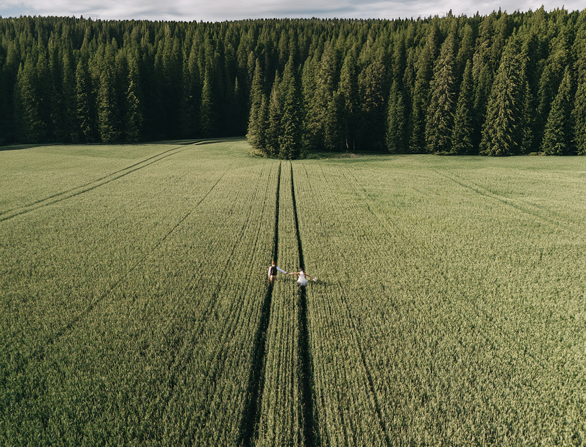 Vestuvių fotografas Vestuvių fotografas 