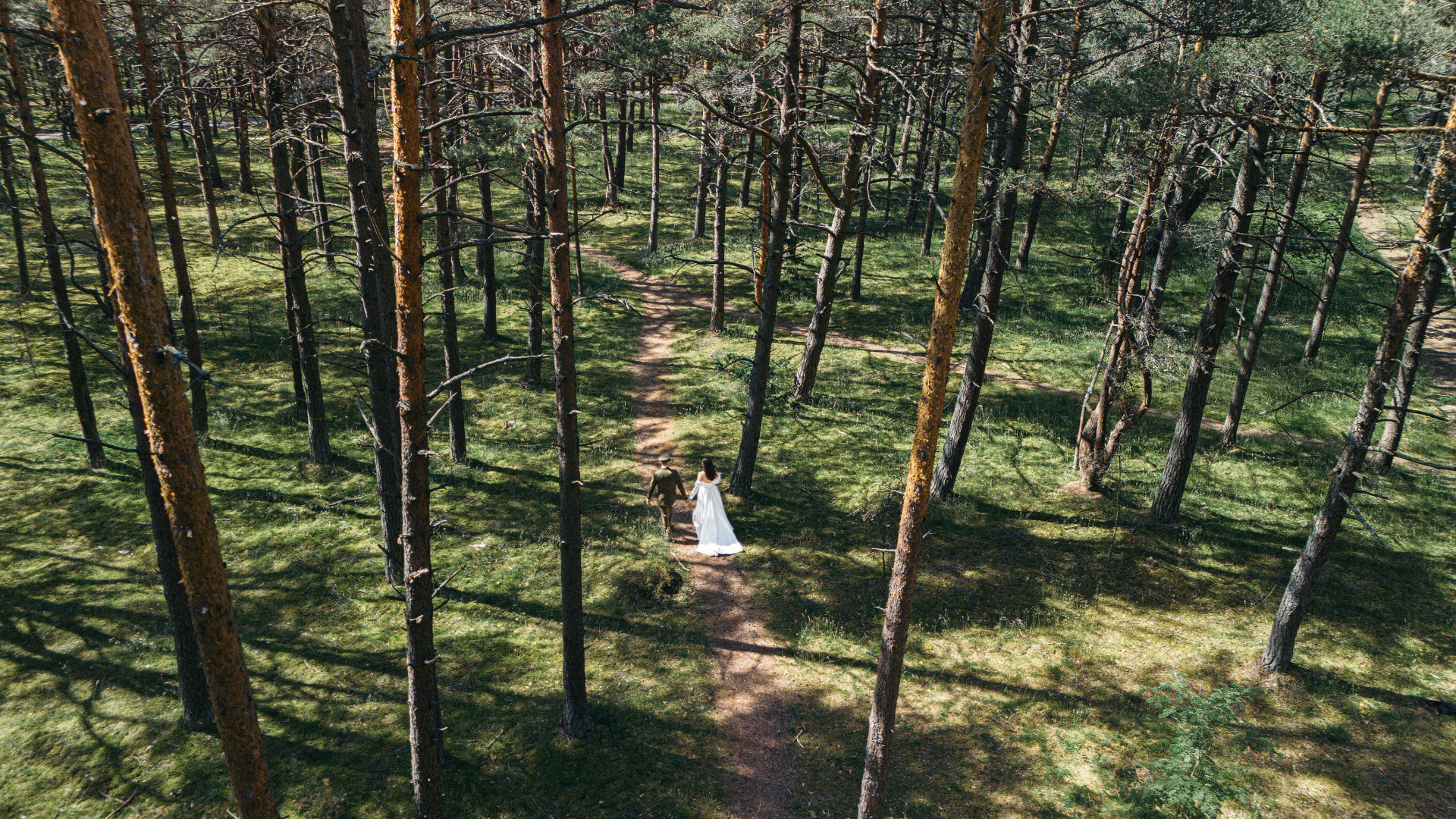 Vestuvių fotografas Vestuvių fotografas 