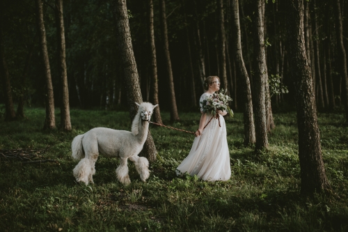 Vestuvių fotografas Balti rėmeliai - šiuolaikiška vestuvių fotografija!