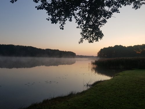 Sodybos, dvarai, vilos La Villa Royale- privatumo oazė visai šalia sostinės!