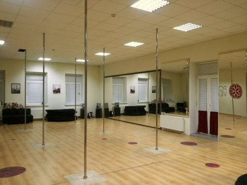 Pole dance(šokis ant stulpo) šokio pamoka mergvakariui!