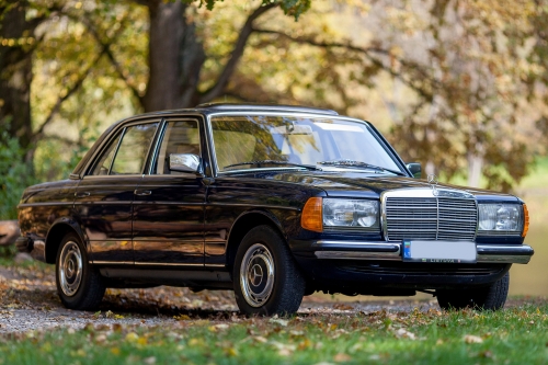 Automobilių nuoma Mercedes- Benz 230E