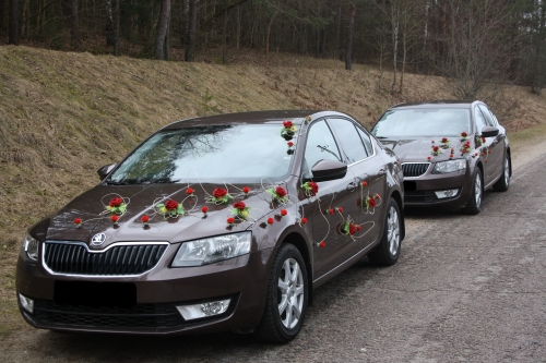 Automobilių nuoma Ypatingos spalvos naujoji škoda -  Būkite unikalūs. 