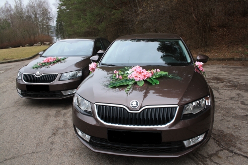 Automobilių nuoma Ypatingos spalvos naujoji škoda -  Būkite unikalūs. 