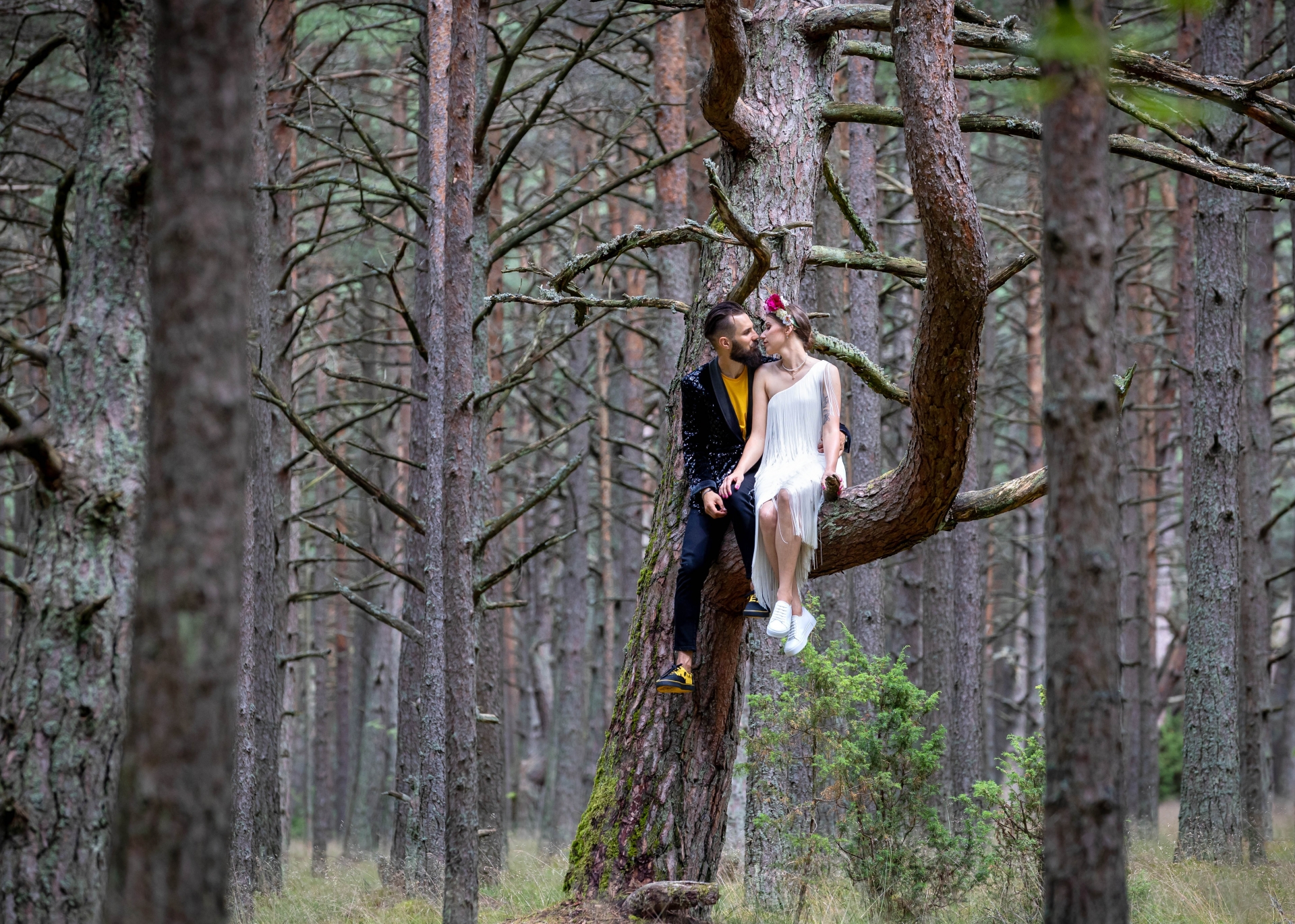 Vestuvių fotografas Aš noriu, kad Jūsų meilės istorija turėtų iliustracijas