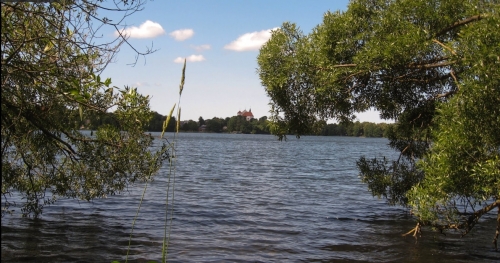 "Pelėdų vakarai" - puiki vieta Jūsų šventei 