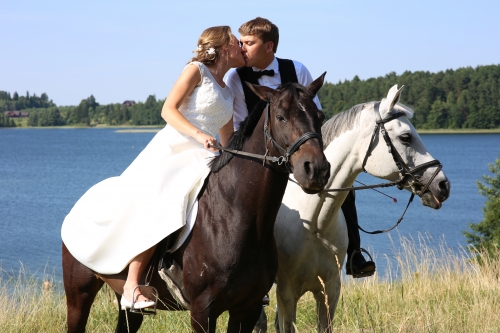 Kitos vestuvių paslaugos Žirgų nuoma fotosesijoms