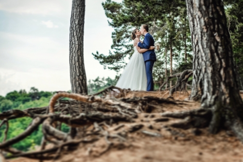 Vestuvių fotografas Fotografė Aurelija Petrikaitė +37067771302 (visa Lietuva) 