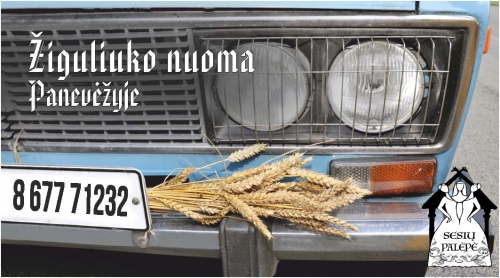 Automobilių nuoma Žydras Žiguliukas 