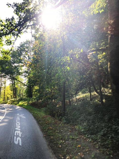 Mikroautobusų, autobusų nuoma Mikroautobuso nuoma su vairuotoju Vilniuje